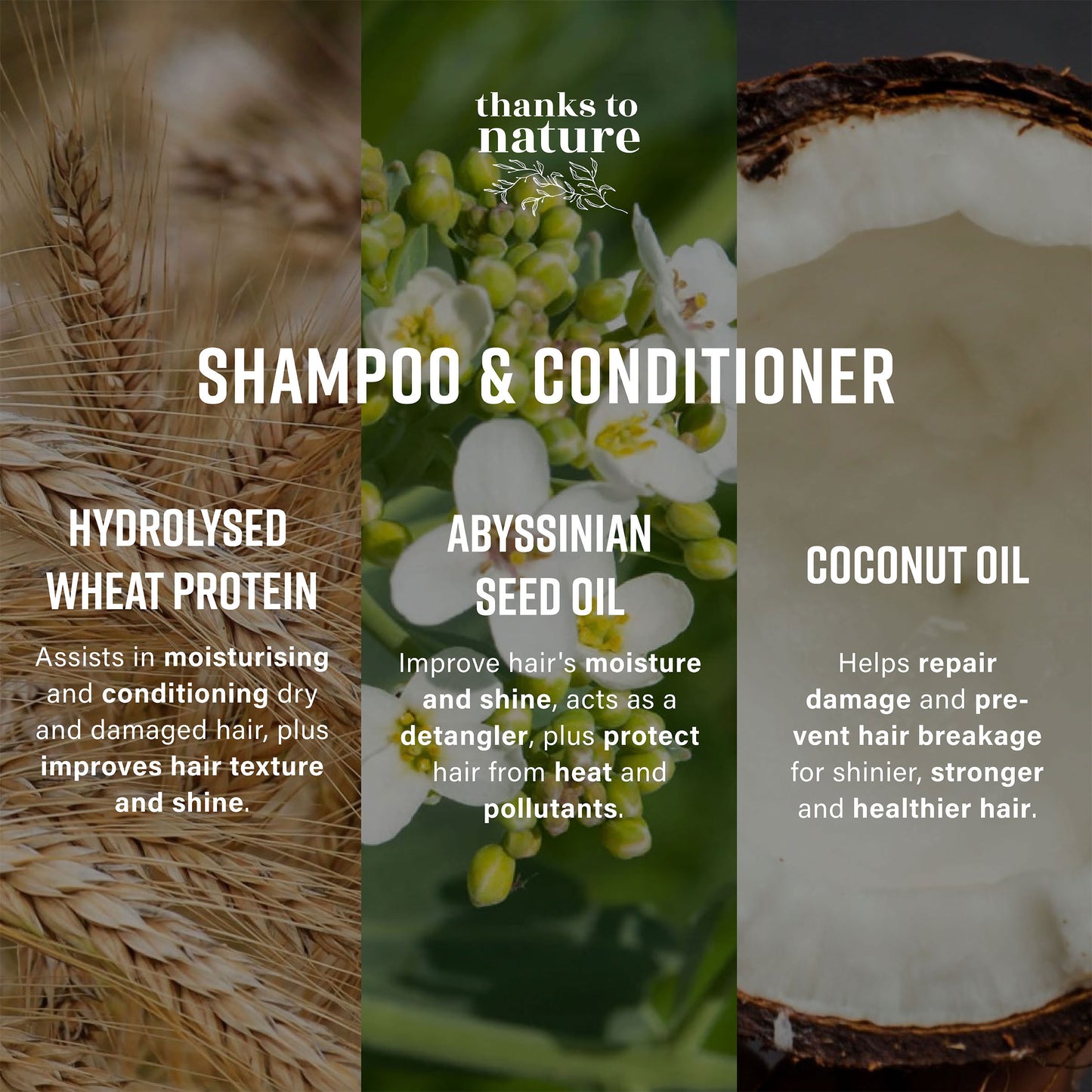 Hydrate and Nourish Conditioner
