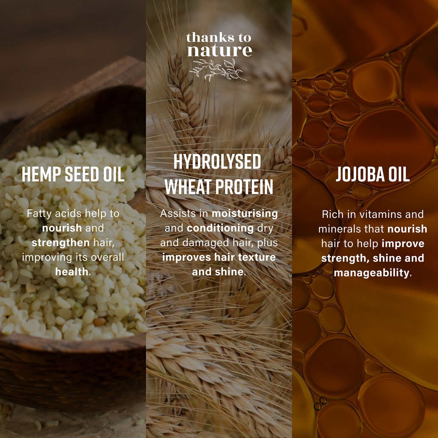 Repair and Strengthen Shampoo