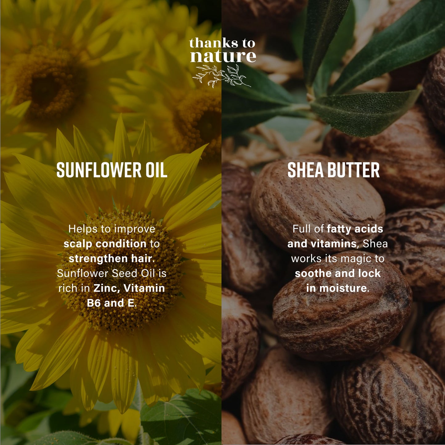 'Liquid Soap Hand Wash Duo' Bundle