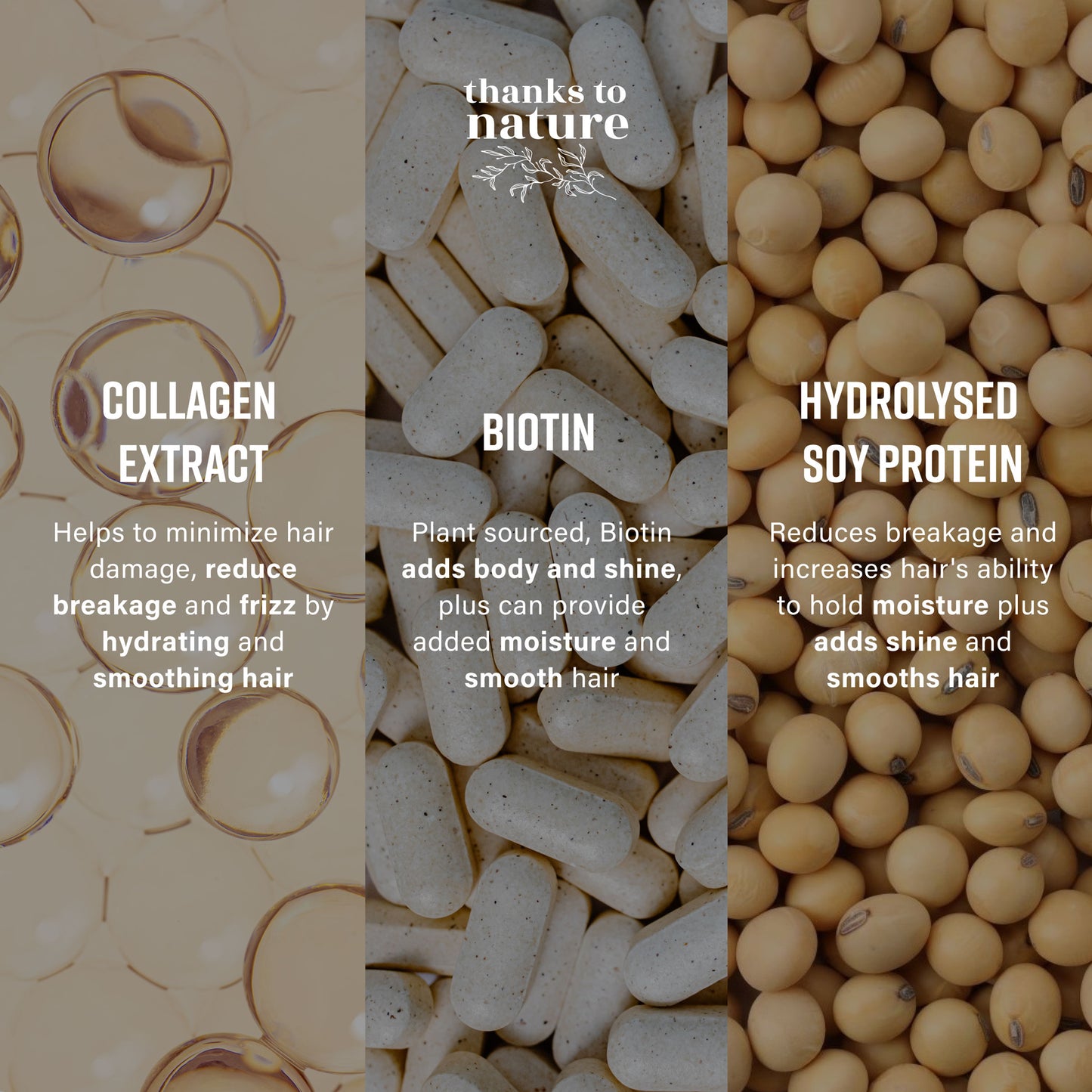 Volume and Thickening Shampoo