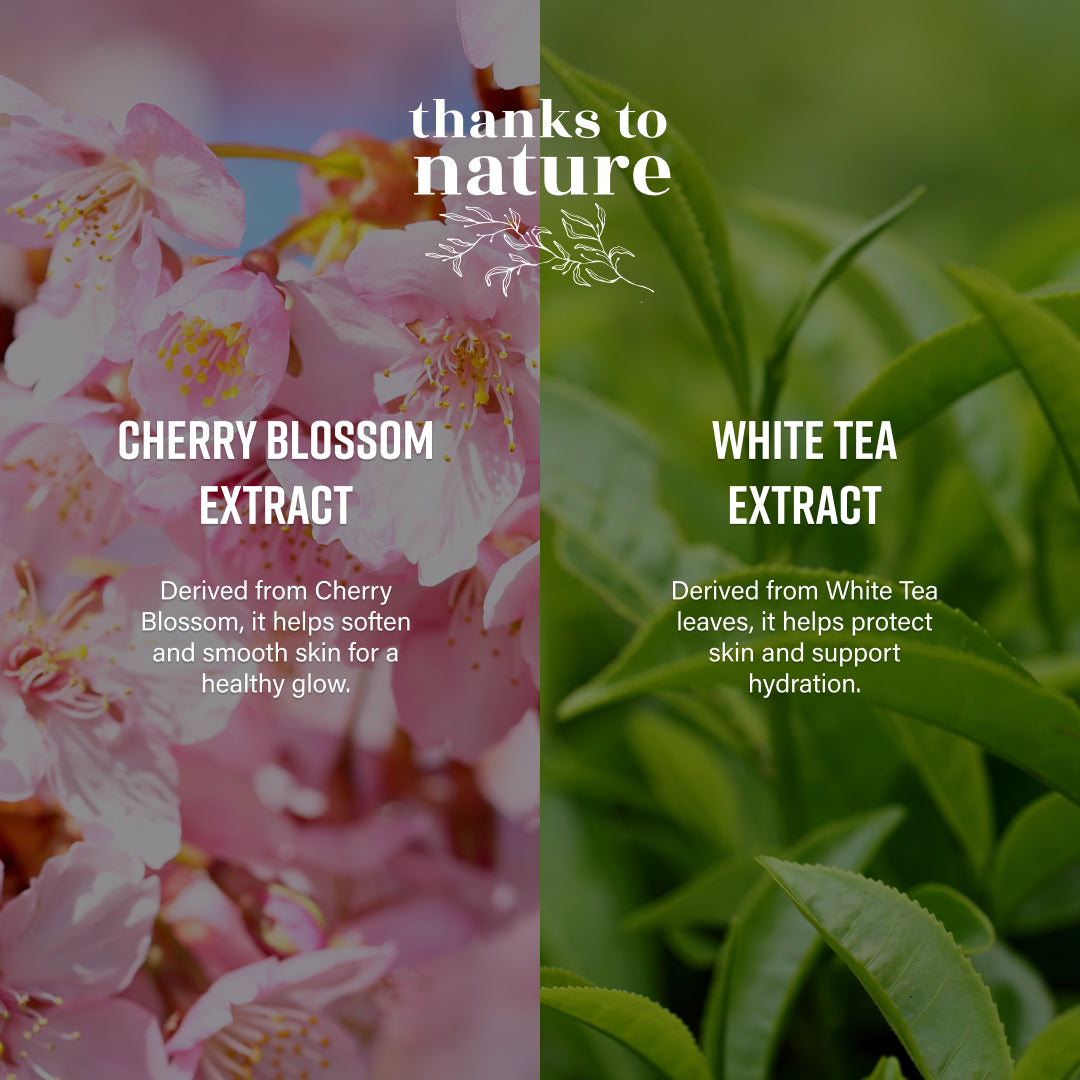 Creamy Body Wash - Cherry Blossom and White Tea