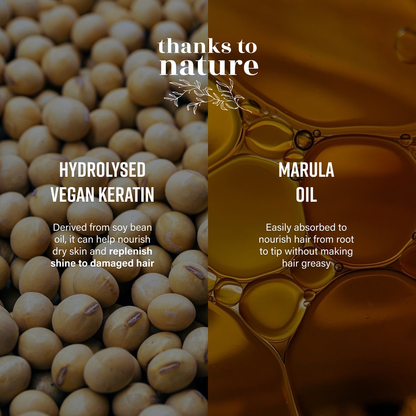 Thanks to Nature ingredients - hydrolysed vegan keratin and marula oil with images of soybeans and oil droplets.