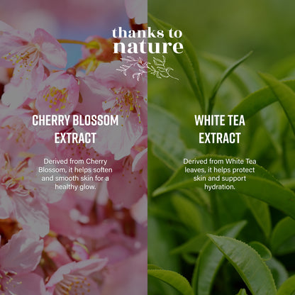 Shower Oil - Cherry Blossom and White Tea